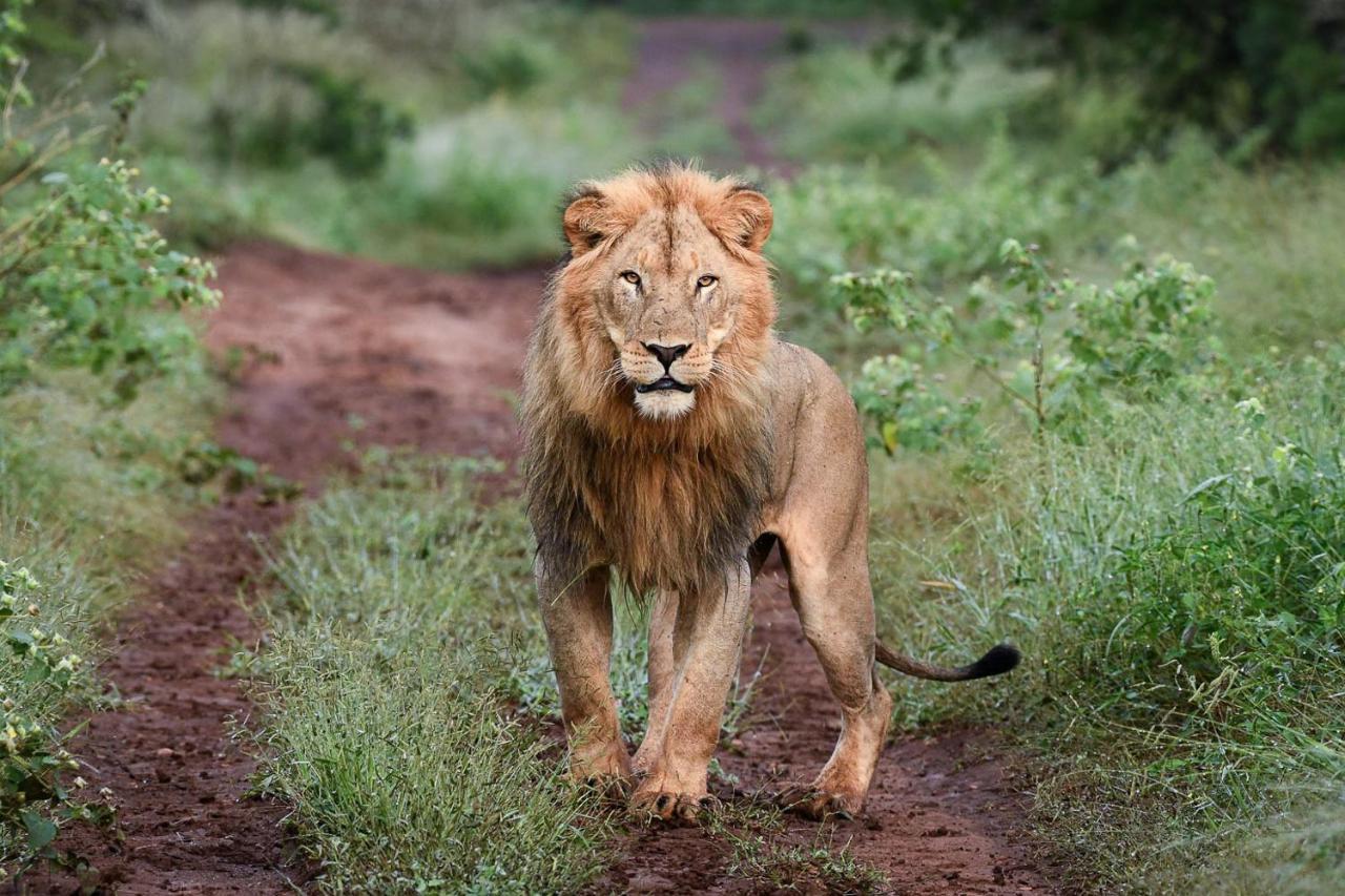 Mavela Game Lodge Mkuze Екстер'єр фото