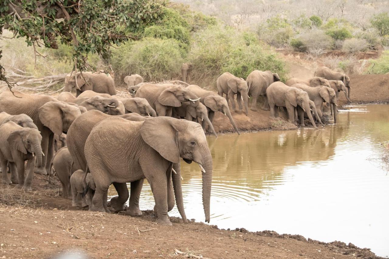 Mavela Game Lodge Mkuze Екстер'єр фото