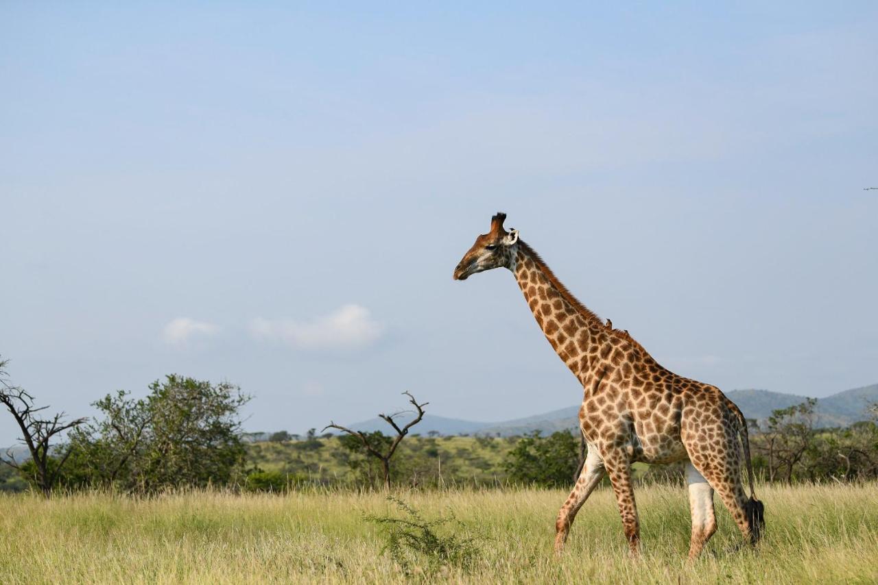 Mavela Game Lodge Mkuze Екстер'єр фото